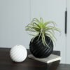 Black and white ceramic round vase for dried flower arrangement, bulk orders available.