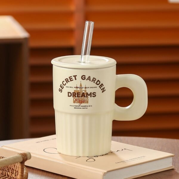 INS ceramic water cup with lid and straw